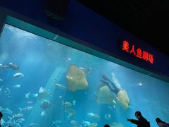 -福州罗源湾海洋世界旅游区