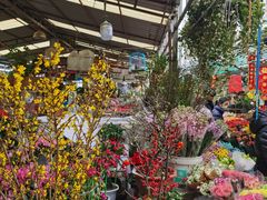 -曲阳花鸟市场(曲阳路店)