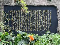 -广州兰圃