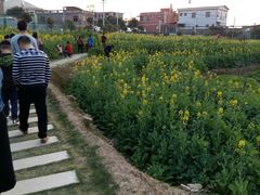 -泉州海丝野生动物世界