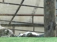-青藏高原野生动物园