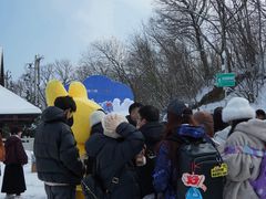 -少华山国家森林公园
