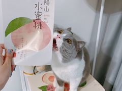 -芭比堂动物医院·犬猫全科·异宠专科(雁塔分院)