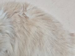 -爪爪喵星球·猫舍(卓悦中心店)