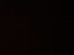 -大碗居·烤鸭·鱼头泡饼(天坛东门店)