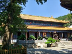 -普陀山风景名胜区-法雨禅寺
