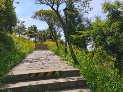 -鼓岭旅游度假区
