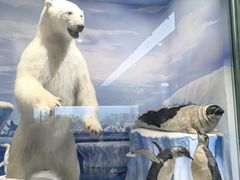 -国家自然博物馆