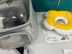-乖乖宠物医院·猫科·急重症中心(车站北路分院)