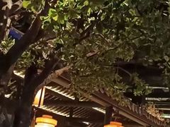 -绿茶餐厅(昆明世纪金源店)