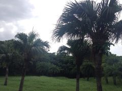 iphone_upload_pic-鹅銮鼻灯塔