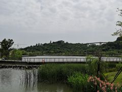 -飞凤山奥体公园