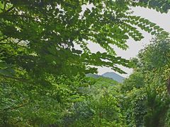 -佛慧山
