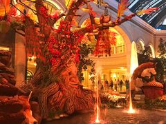 -拉斯维加斯永利酒店