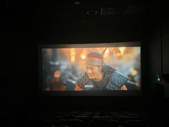 -山文星辉影城(济南和谐广场店)