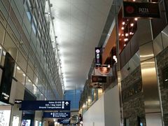 -达拉斯 沃斯堡国际机场