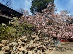 -潭柘寺景区