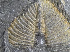 -房山世界地质公园博物馆