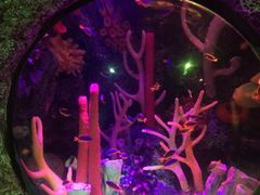 -沈阳海洋探索中心