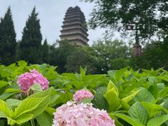 -西安博物院