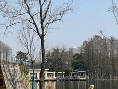 -武汉动物园