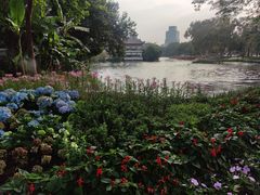 -荔湾湖公园