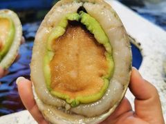 -悉尼鱼市场