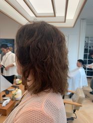 -程Studio