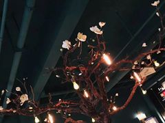 -梧桐树下(云锦世家店)