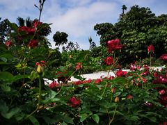 -人民公园(罗湖区)