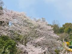 -杭州少年儿童公园