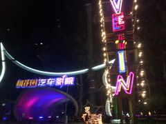 -枫花园汽车电影院(朝阳公园店)