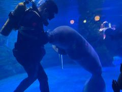 -烟台海昌鲸鲨海洋公园