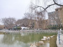-莲湖公园