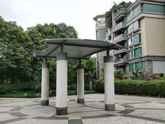 -神仙树公园