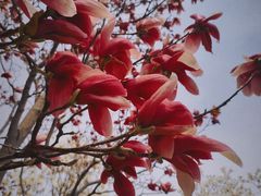 -北京西山国家森林公园