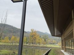 -千年银杏谷文化旅游区