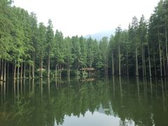 -波尔登森林公园