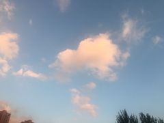 -王家大院