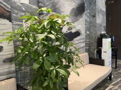 -珠海棕泉水疗酒店(拱北口岸高铁站店)