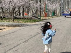-东郊湿地公园