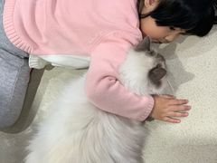 -藏猫猫咖啡主题馆(中央大道店)