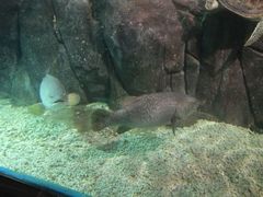 -福州罗源湾海洋世界旅游区