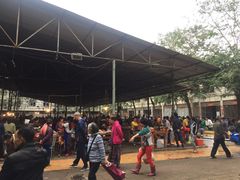 -鸿港海鲜批发市场