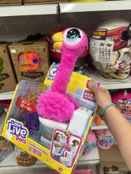 -玩动奇季品牌玩具超市