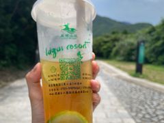-鹿嘴山庄