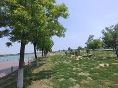 -渭河城市绿地运动公园