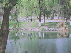 -贵阳市花溪国家城市湿地公园