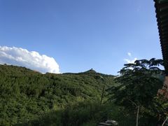 -张北坝上草原
