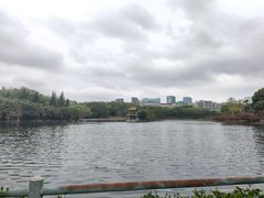 -深圳龙潭公园